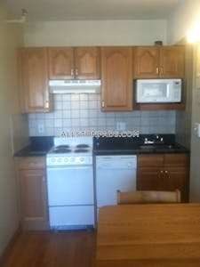Allston Apartment for rent Studio 1 Bath Boston - $2,100 No Fee