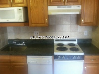 Allston Apartment for rent Studio 1 Bath Boston - $2,200 No Fee