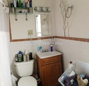 Cambridge Apartment for rent 1 Bedroom 1 Bath  Porter Square - $2,800 No Fee