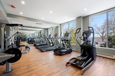 Cambridge 2 Bed 1 Bath CAMBRIDGE  Mt. Auburn/brattle/ Fresh Pond - $3,756 No Fee