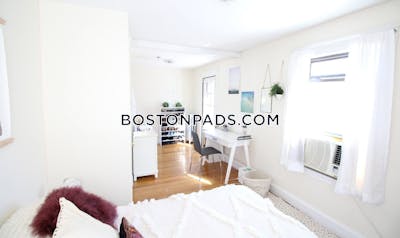 Brighton 5 Bed 3 Bath BOSTON Boston - $9,500