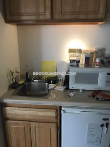 Brookline Apartment for rent Studio 1 Bath  Longwood Area - $1,895