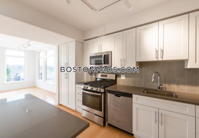 Cambridge Apartment for rent 2 Bedrooms 2 Baths  Mt. Auburn/brattle/ Fresh Pond - $4,300 No Fee