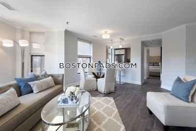Back Bay 1 bedroom  baths Luxury in BOSTON Boston - $4,499