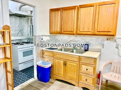 Mission Hill Apartment for rent 3 Bedrooms 1 Bath Boston - $3,900