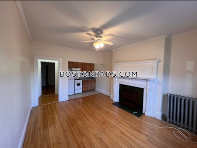 Allston Apartment for rent 1 Bedroom 1 Bath Boston - $2,300 No Fee