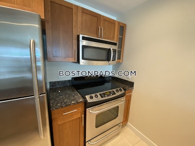 West End Apartment for rent 1 Bedroom 1 Bath Boston - $3,400