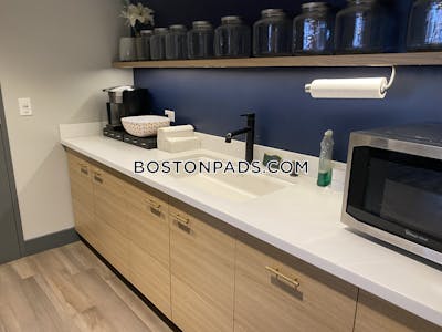 Allston Apartment for rent 1 Bedroom 1 Bath Boston - $2,960