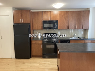 Brighton Apartment for rent 1 Bedroom 1 Bath Boston - $2,975 No Fee