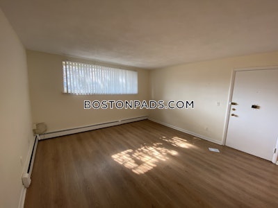 Allston Apartment for rent 2 Bedrooms 1 Bath Boston - $3,000 No Fee