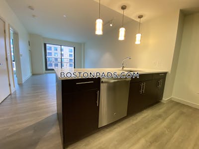 West End Apartment for rent 1 Bedroom 1 Bath Boston - $3,743